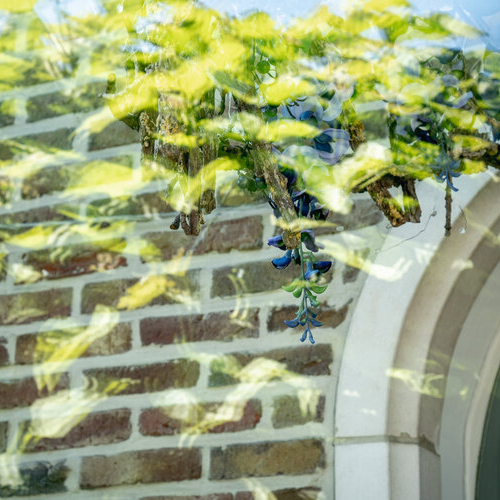 Grid gallery image